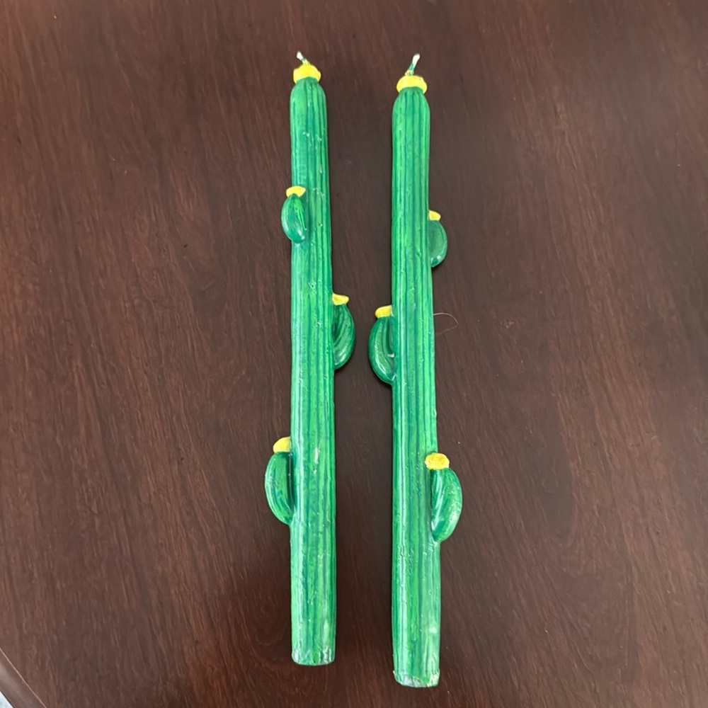 Two cactus candle sticks